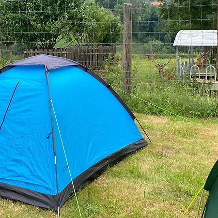 Camping F Selbstversorger Gut Jagerhof Semriach 외부 사진